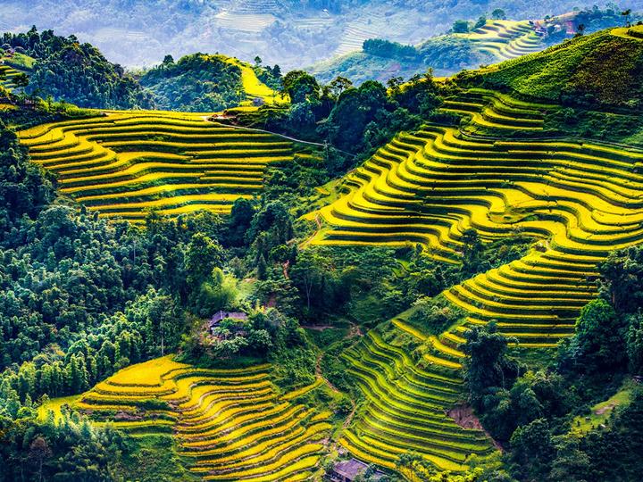 Triển lãm Dự án và Thu hút Khách Hàng Mới với Hotspot Matrix