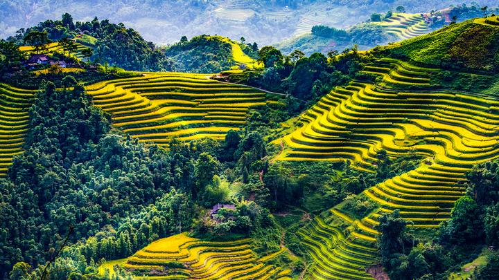 Hotspot Matrix: Đòn Bẩy Thành Công Cho Startup của Bạn