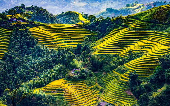 Vươn Cao cùng Hotspot Matrix: Chuyện Thành Công của [Tên Doanh Nghiệp]