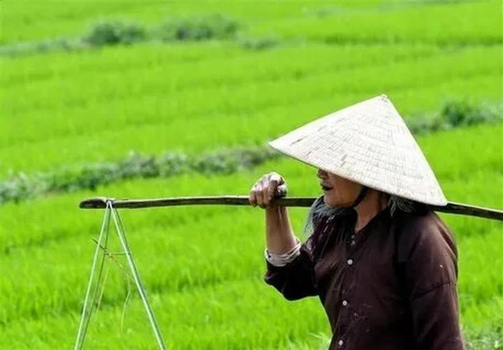 Chuyên gia Hotspot Matrix phân tích: Khung hình đọ sắc cực căng: và marketing video