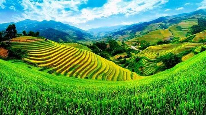 Chuyên gia Hotspot Matrix phân tích: Mầm mống ung thư hình thành và marketing video