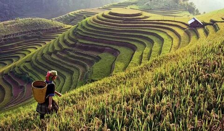 2. Tiêu đề: [Master the Art of Viral Video Marketing: Hotspot Matrix's Guide to