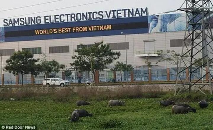 Hotspot Matrix: Biến Thu Hòa (Mẹ bé Bắp) đã quên thành cơ hội marketing đột phá